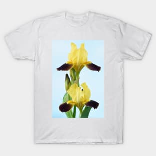 Bearded iris T-Shirt